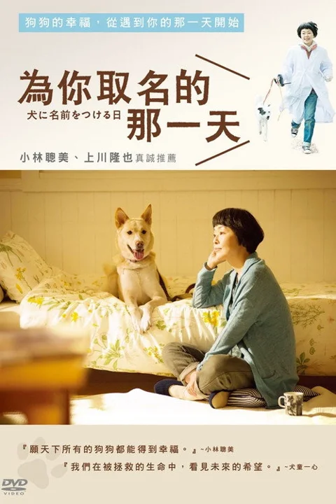《为你取名的那一天》封面