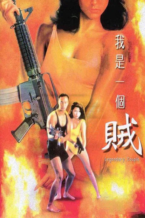 《我是一个贼》封面