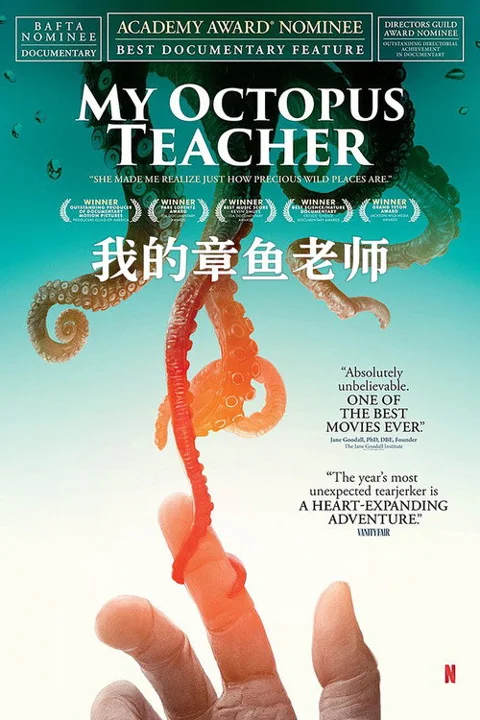 《我的章鱼老师》封面