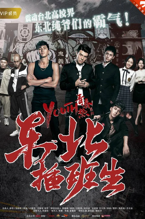 《东北 插班生》封面