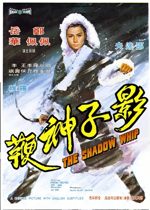 《影子神鞭》封面