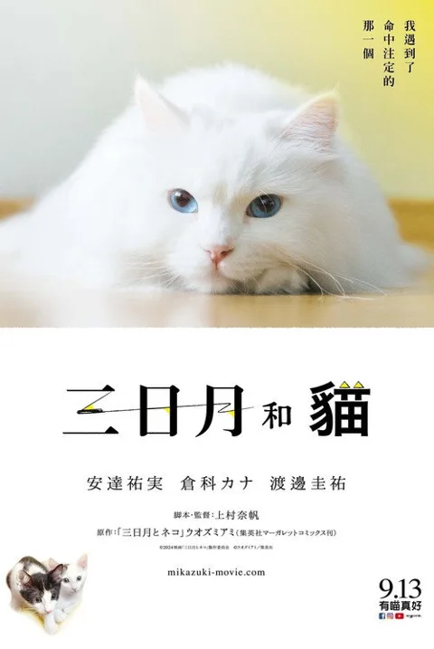 《三日月与猫》封面