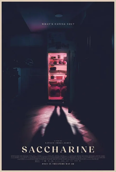 《糖精》封面