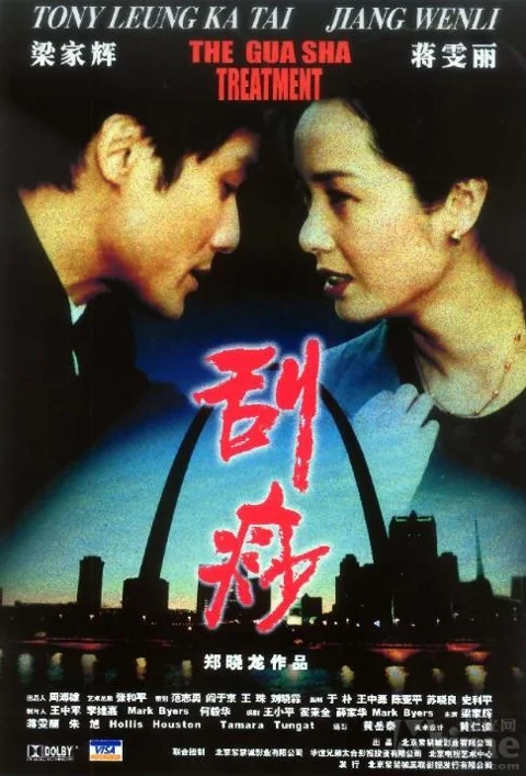 《刮痧》封面