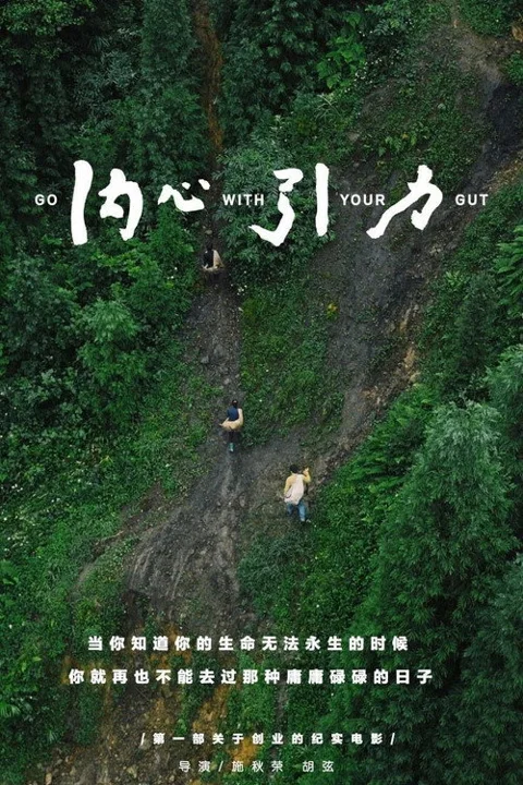 《内心 引力》封面