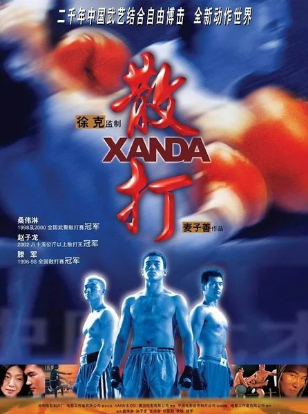 《散打》封面