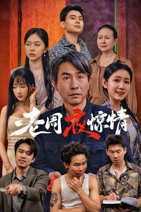 《老周夜惊情》封面