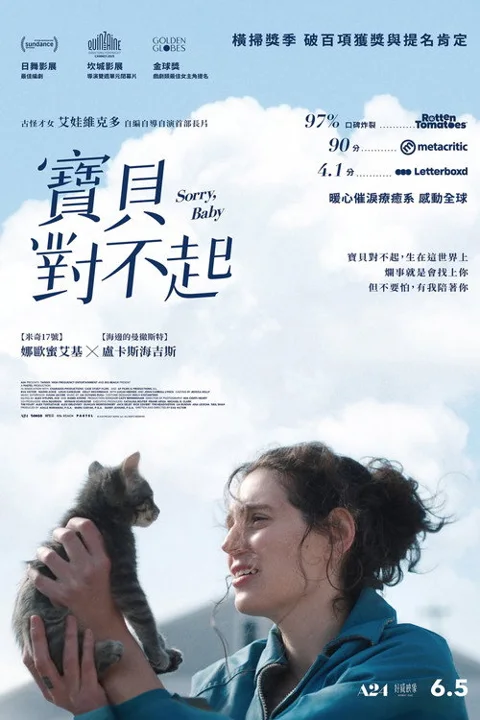 《对不起 宝贝》封面