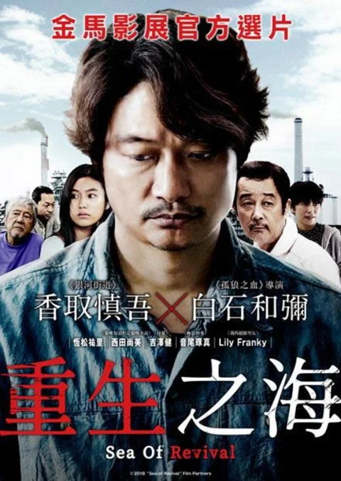 《待风平浪静》封面