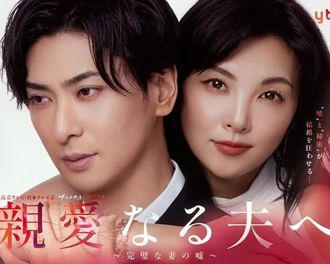 《致亲爱的丈夫~完美妻子的谎言~》封面