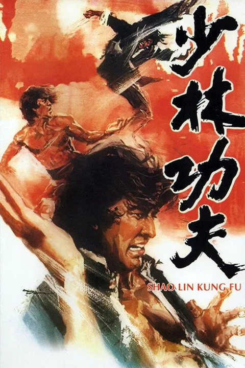 《少林功夫》封面