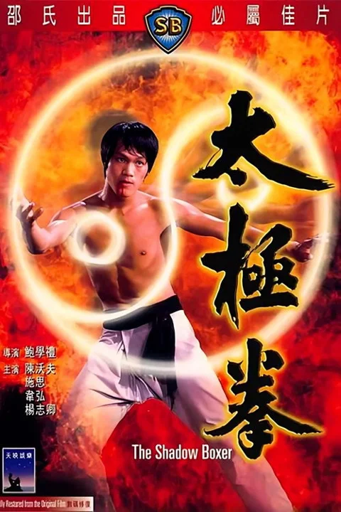《太极拳》封面