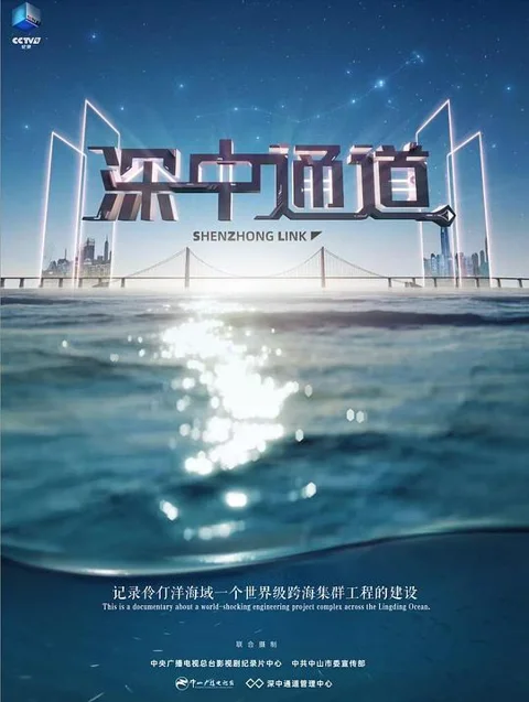 《深中 通道》封面