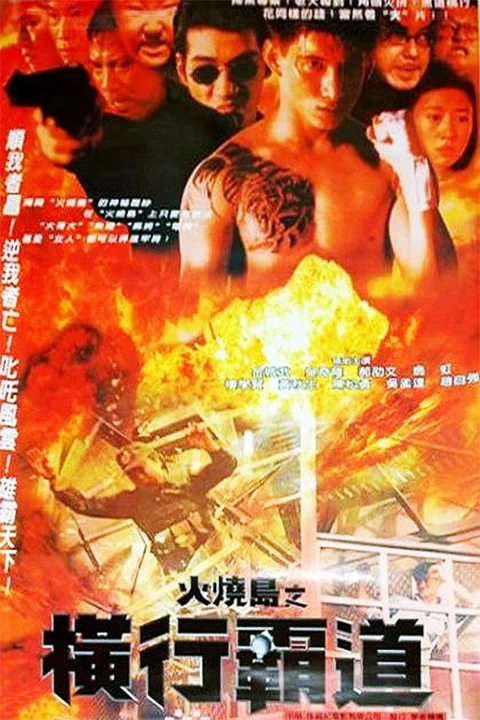 《火烧岛之 横行霸道》封面