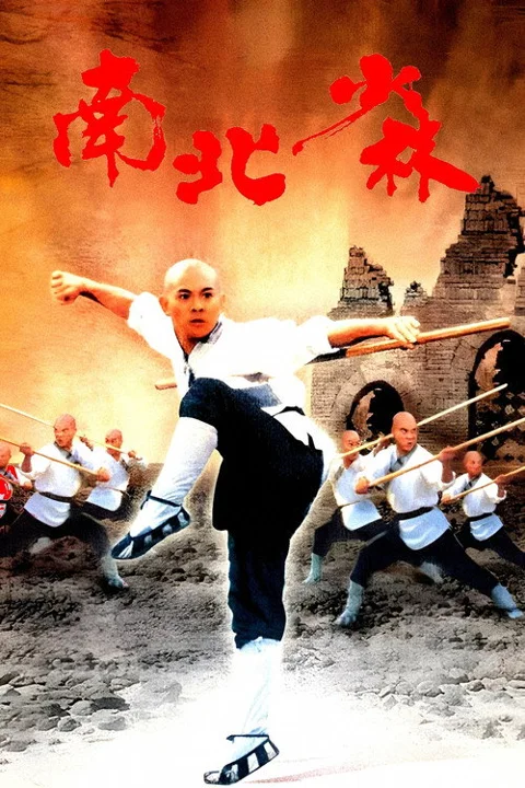 《南北少林》封面