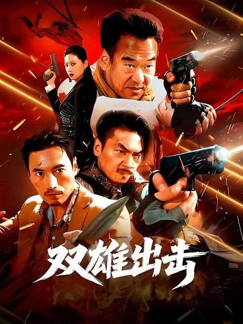 《双雄出击》封面