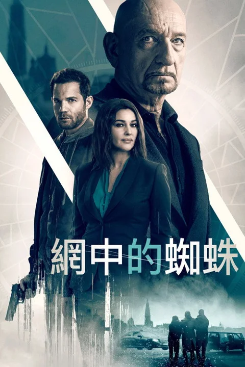 《网中蜘蛛》封面
