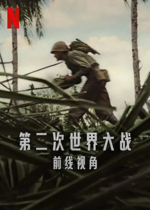 《第二次世界大战:前线视角》封面