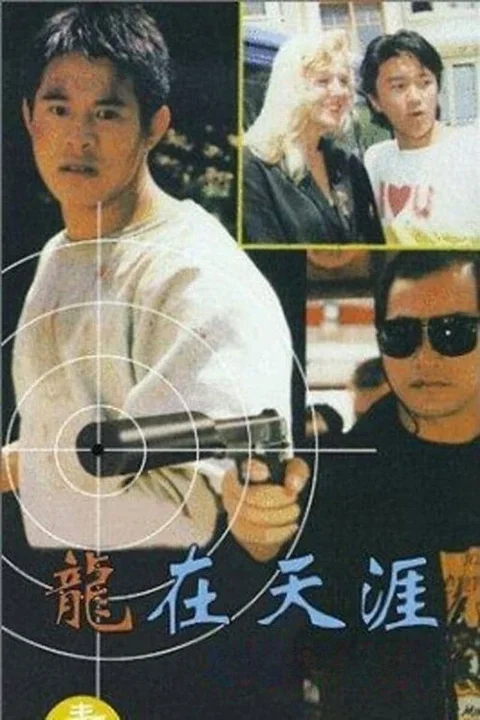 《龙在天涯》封面