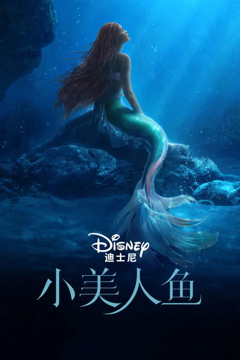 《小美人鱼》封面