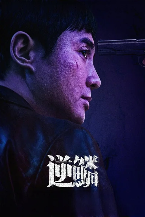 《逆鳞》封面