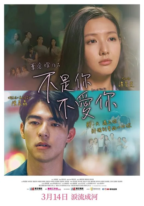 《不是你不爱你》封面