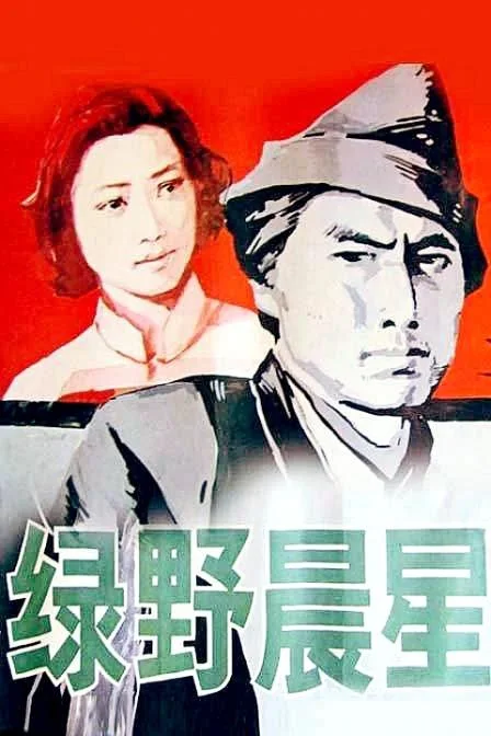 《绿野 晨星》封面