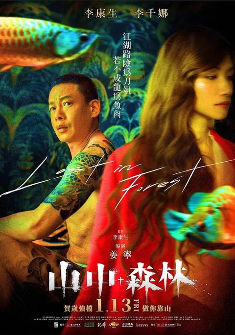 《山中森林》封面