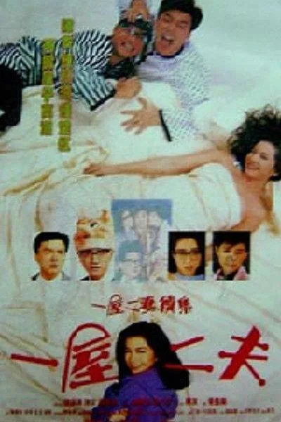 《一妻两夫》封面
