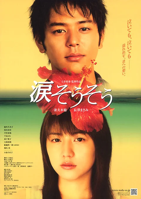 《泪光闪闪》封面