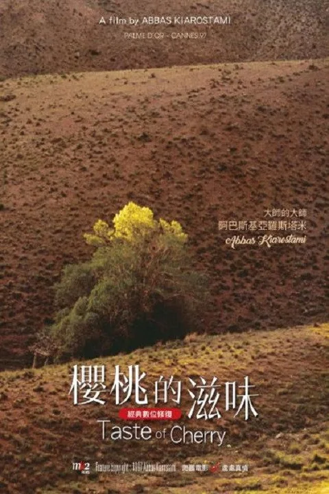 《樱桃的滋味》封面