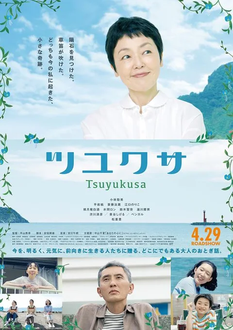 《鸭跖草》封面