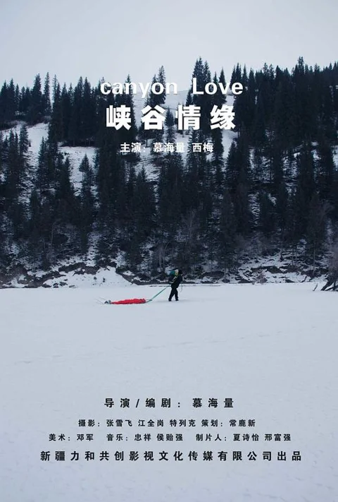 《峡谷 情缘》封面