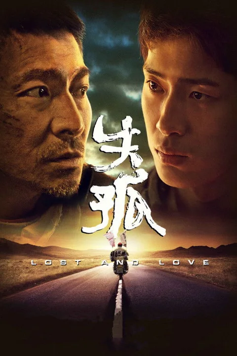 《失孤》封面