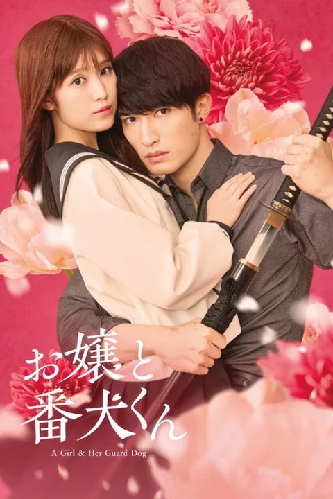 《大小姐和看门犬》封面