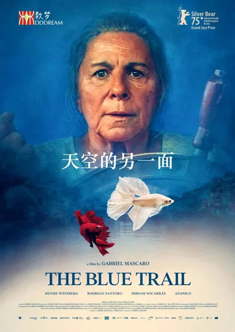 《天空的另一面》封面