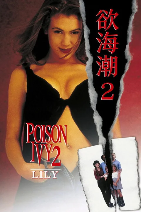 《欲海潮2》封面