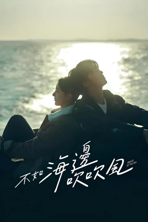 《不如海边吹吹风》封面