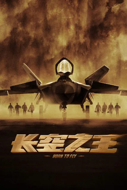《长空之王》封面