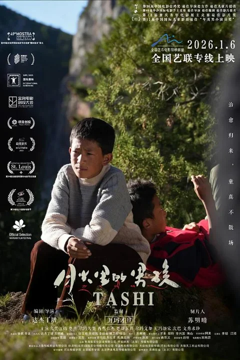 《月光里的男孩》封面