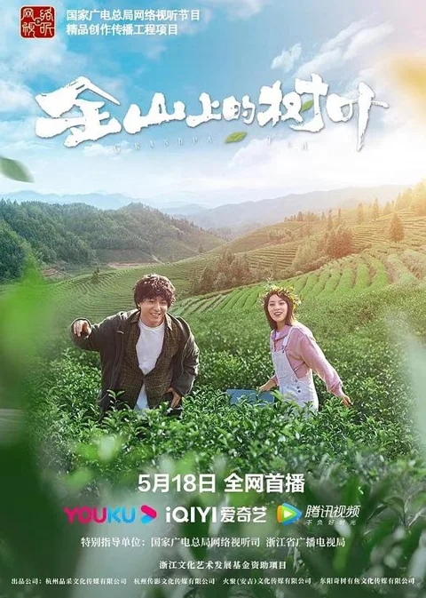 《金山上的树叶》封面