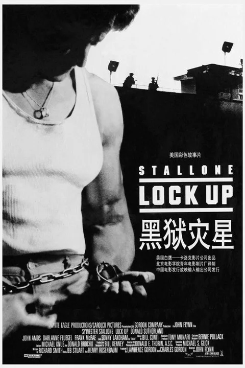 《破茧威龙.Lock.Up》封面