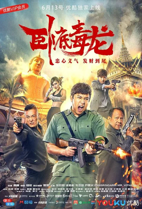 《卧底毒龙》封面
