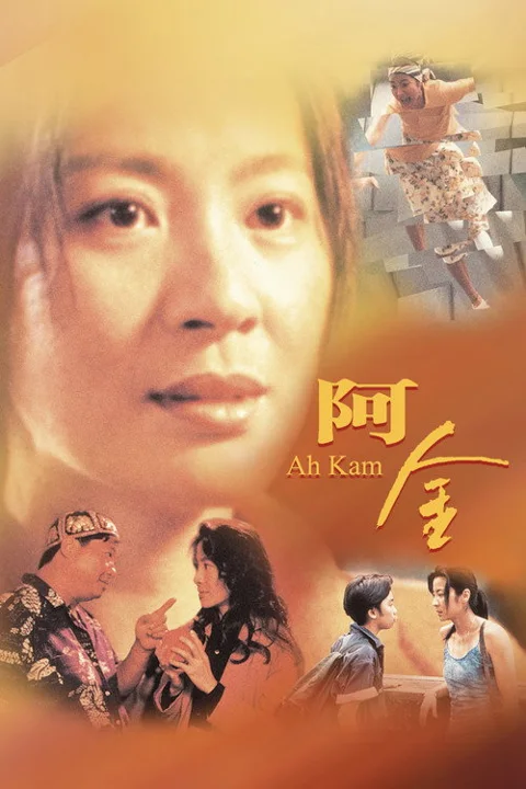 《阿金》封面