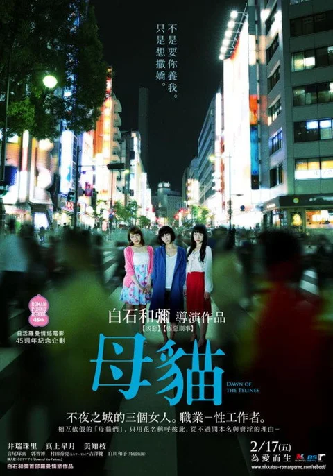 《雌猫们》封面