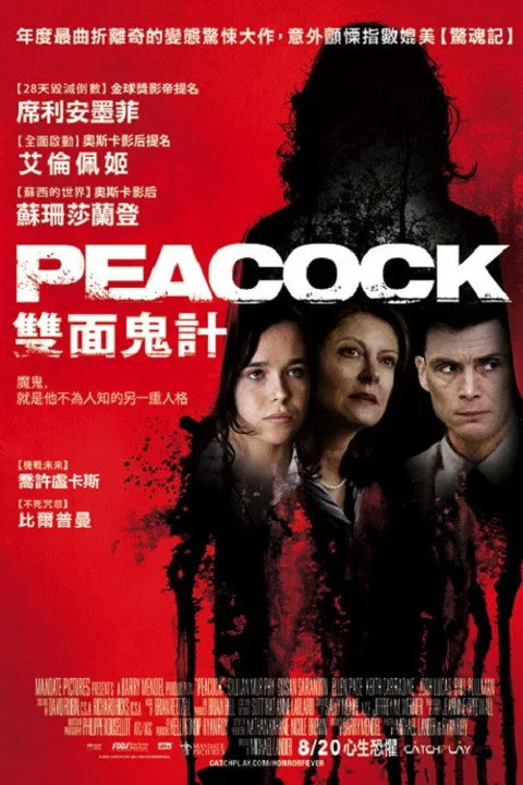 《孔雀镇》封面