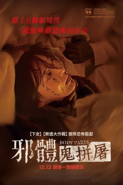 《身体集合》封面