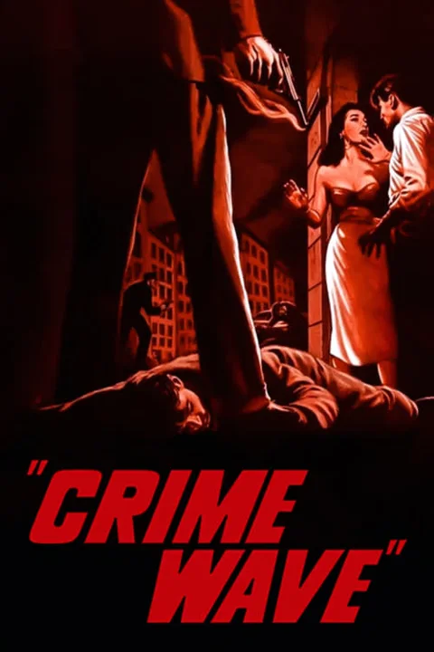 《警网重重》封面