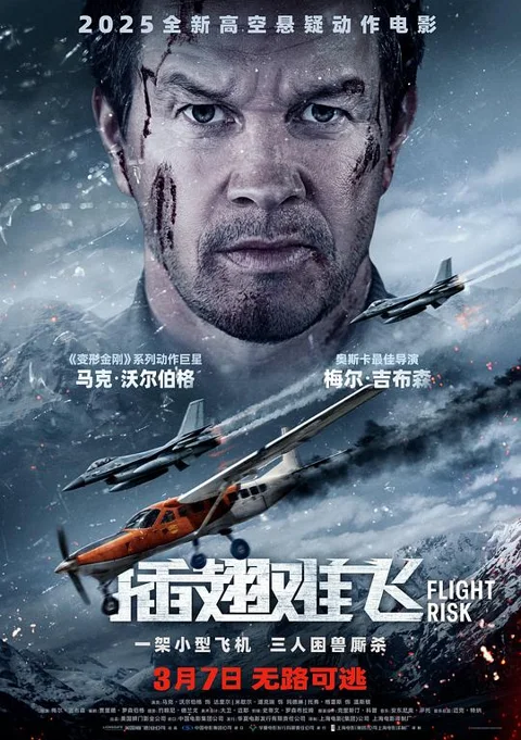 《插翅难飞》封面