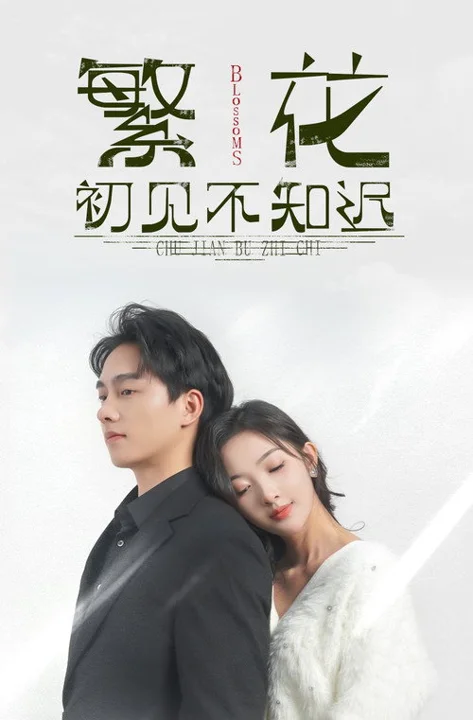 《繁花初见不知迟》封面